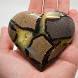 Coeur en septaria | L'antre de la destinée