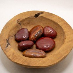 Galet de bois fossilisé | L'antre de la destinée