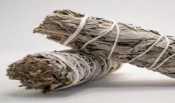 Fagot d’encens sauge blanche L’Antre de la Destinée