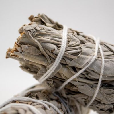 288 Fagot d’encens – Sauge blanche de Californie 10 cm