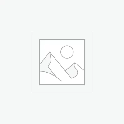 Forme libre - Labradorite