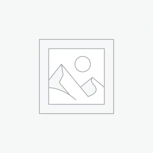 Forme libre - Labradorite