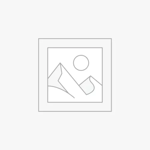 Forme libre - Labradorite